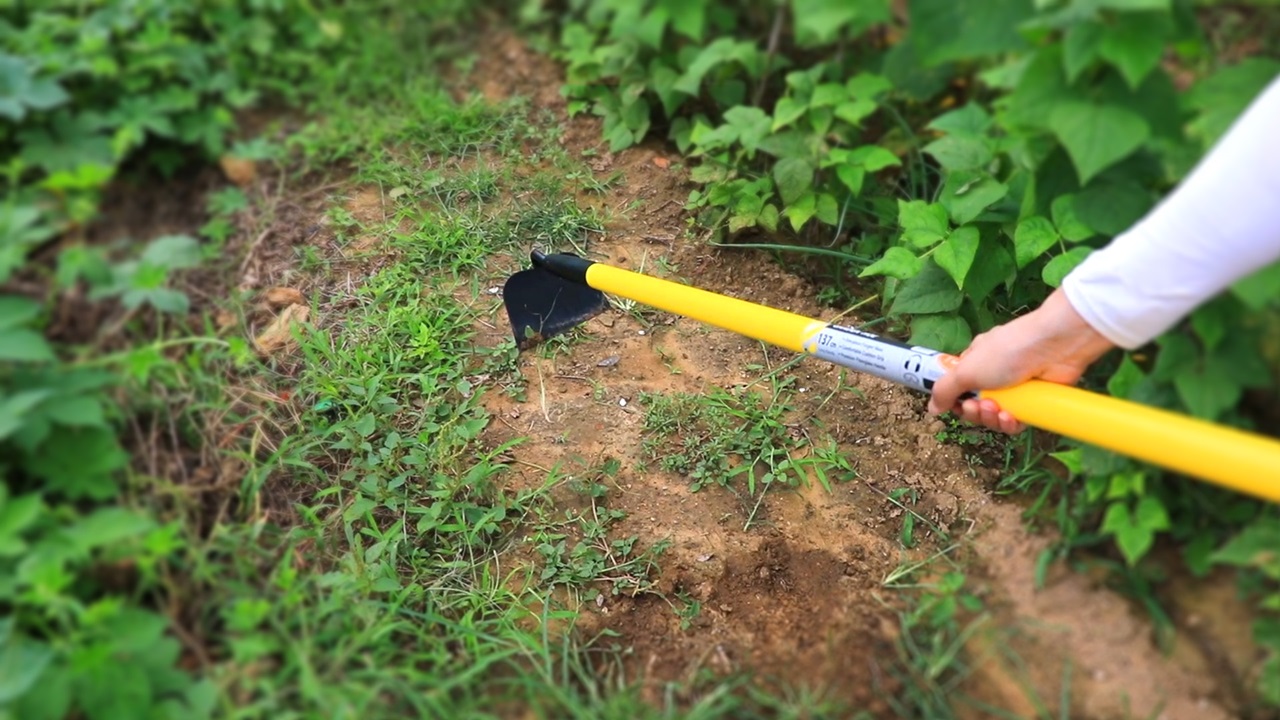How Gardening Tools Enhance Your Outdoor Experience